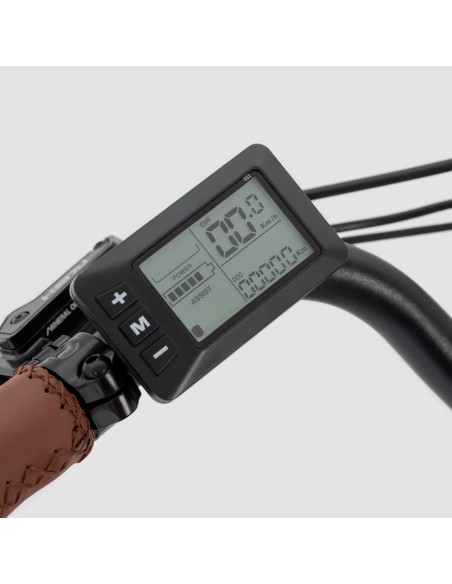 Triciclo ELÉCTRICO BIWBIK