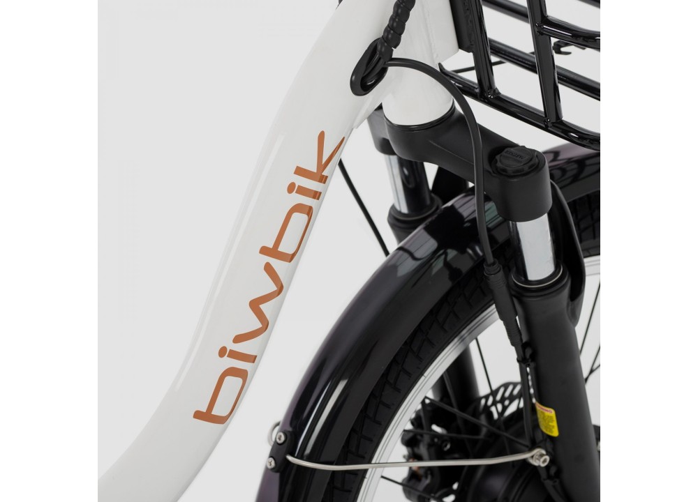 Triciclo ELÉCTRICO BIWBIK