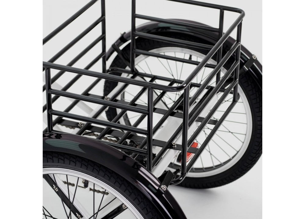 Triciclo ELÉCTRICO BIWBIK