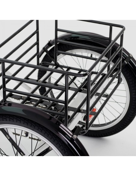 Triciclo ELÉCTRICO BIWBIK