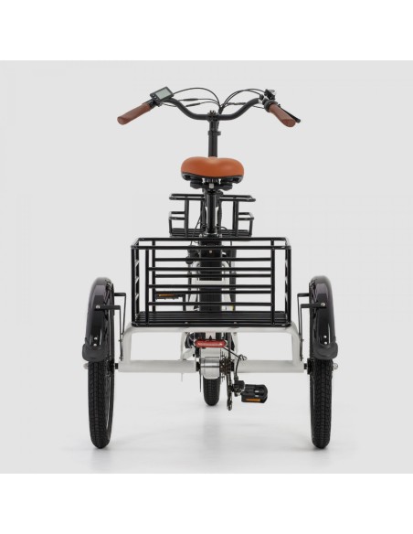 Triciclo ELÉCTRICO BIWBIK