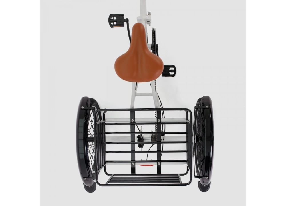 Triciclo ELÉCTRICO BIWBIK