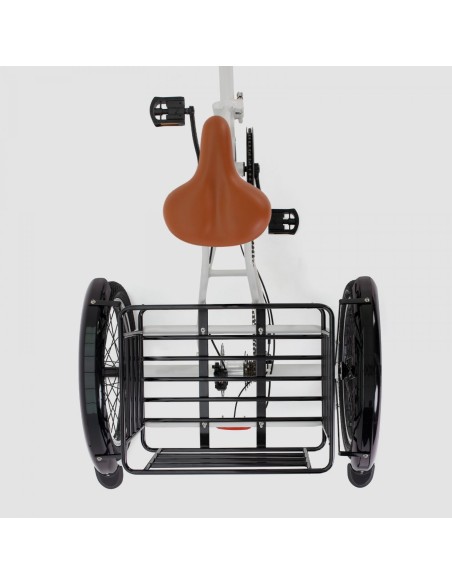 Triciclo ELÉCTRICO BIWBIK