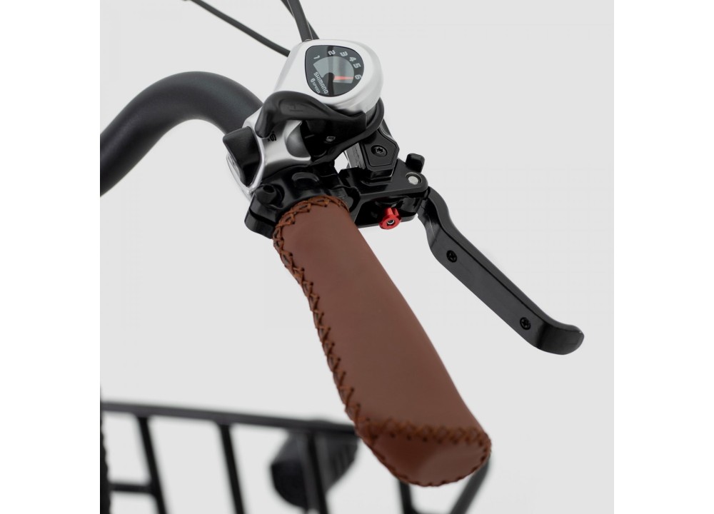 Triciclo ELÉCTRICO BIWBIK