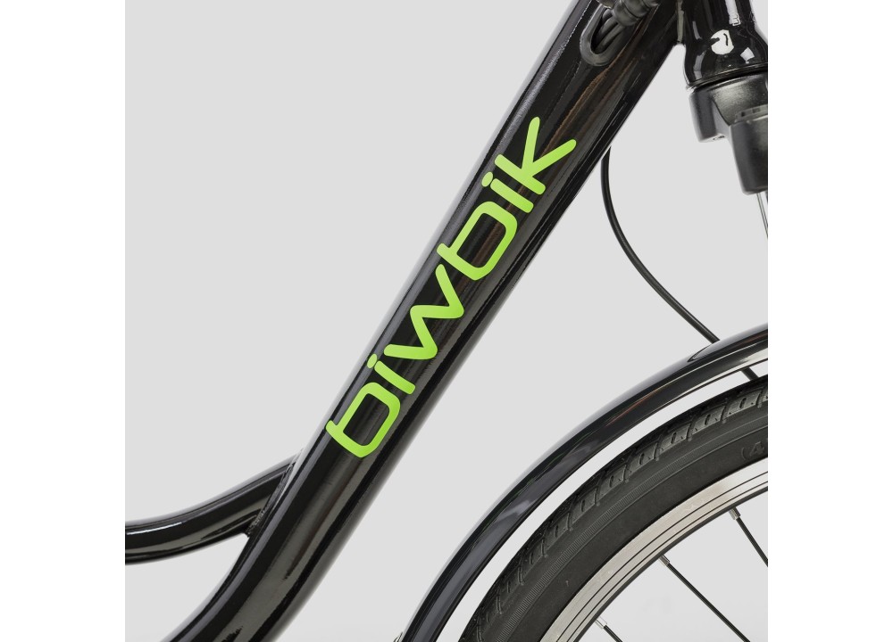 Bicicleta eléctrica de paseo Biwbik Sunray Black