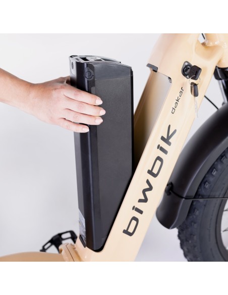 Bicicleta eléctrica plegable Biwbik NEGRA