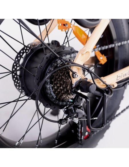 Bicicleta eléctrica plegable Biwbik NEGRA