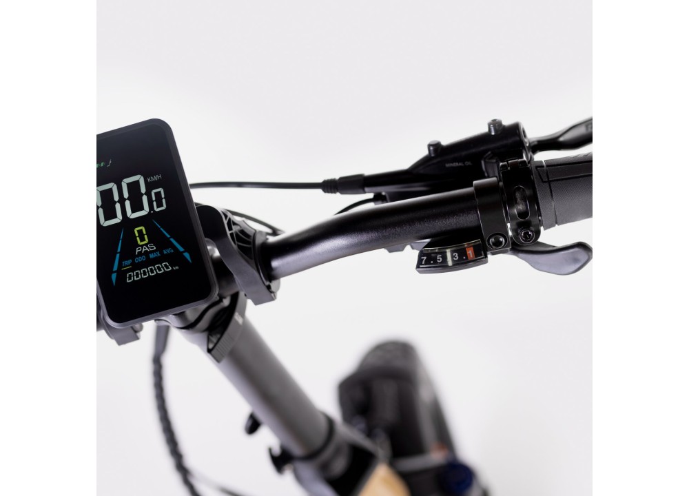 Bicicleta eléctrica plegable Biwbik NEGRA