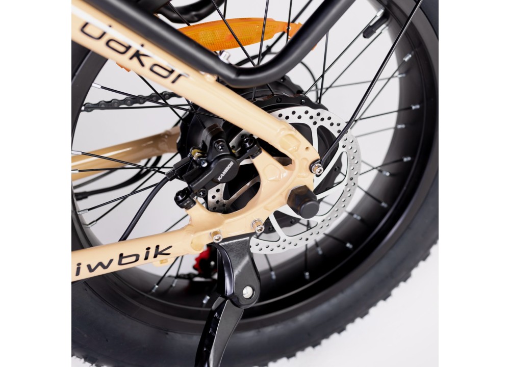 Bicicleta eléctrica plegable Biwbik NEGRA