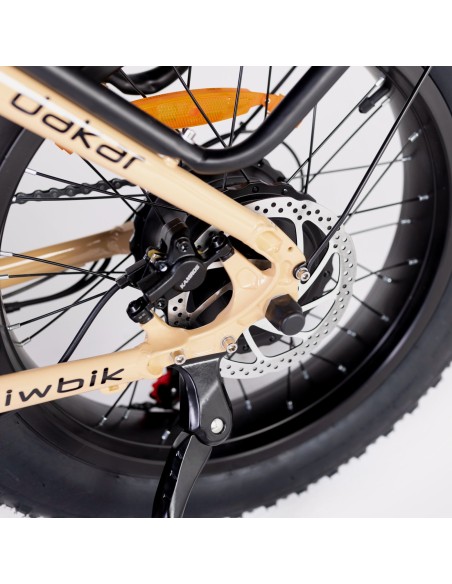 Bicicleta eléctrica plegable Biwbik NEGRA