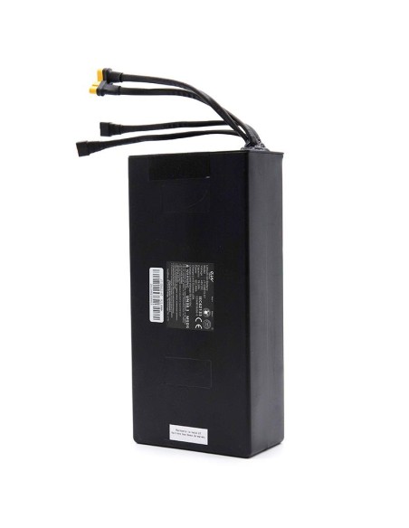 Batería 48V 19,2 A/h para patinete Smartgyro speedway Ewheel