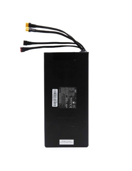 Batería 48V 19,2 A/h para patinete Smartgyro speedway Ewheel
