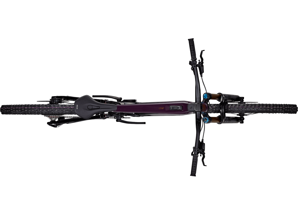 Bicicleta eléctrica FOCUS SAM² 6.9