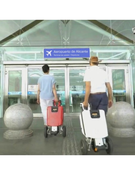 Scooter Esla de movilidad reducida