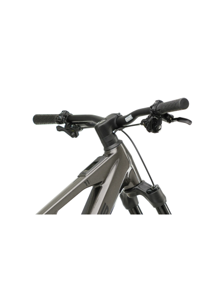 eBike Crussis e-Full 11.11