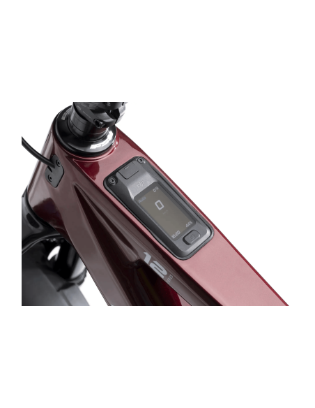 eBike Crussis e-Full 12.11