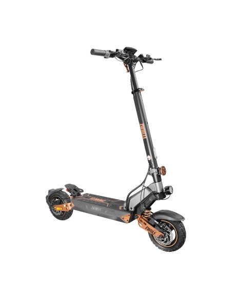 Patinete eléctrico ZWolf PLUS