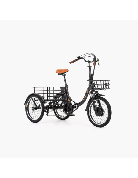 Triciclo ELÉCTRICO BIWBIK ( 2 colores Blanco y Negro )