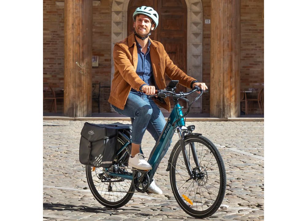 Fiido C11 Pro Bicicleta Electrica Ligera Urbana