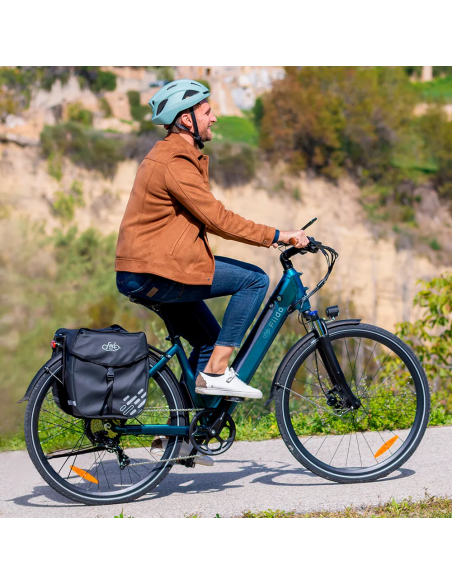 Fiido C11 Pro Bicicleta Electrica Ligera Urbana