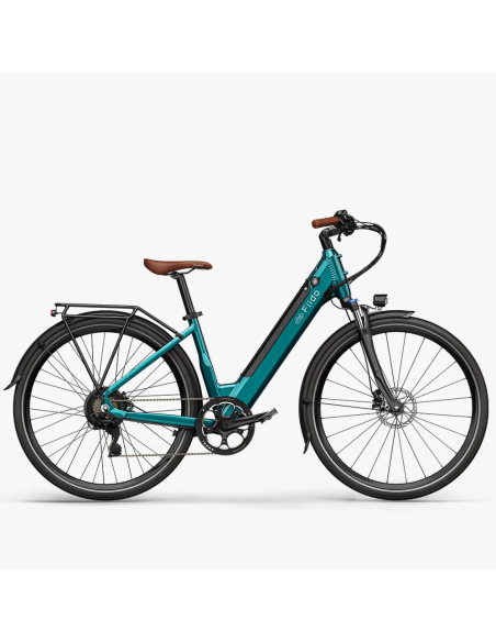 Fiido C11 Pro Bicicleta Electrica Ligera Urbana