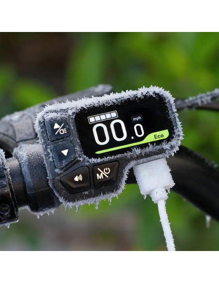 Fiido D11 Bicicleta Electrica Plegable De Largo Alcance