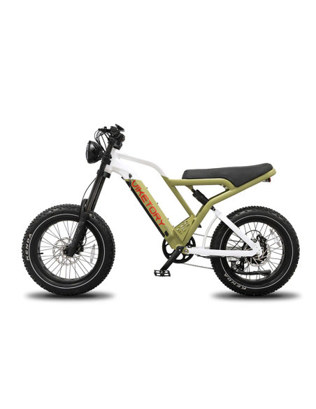 COMMANDO ebike FATBIKE Verde militar