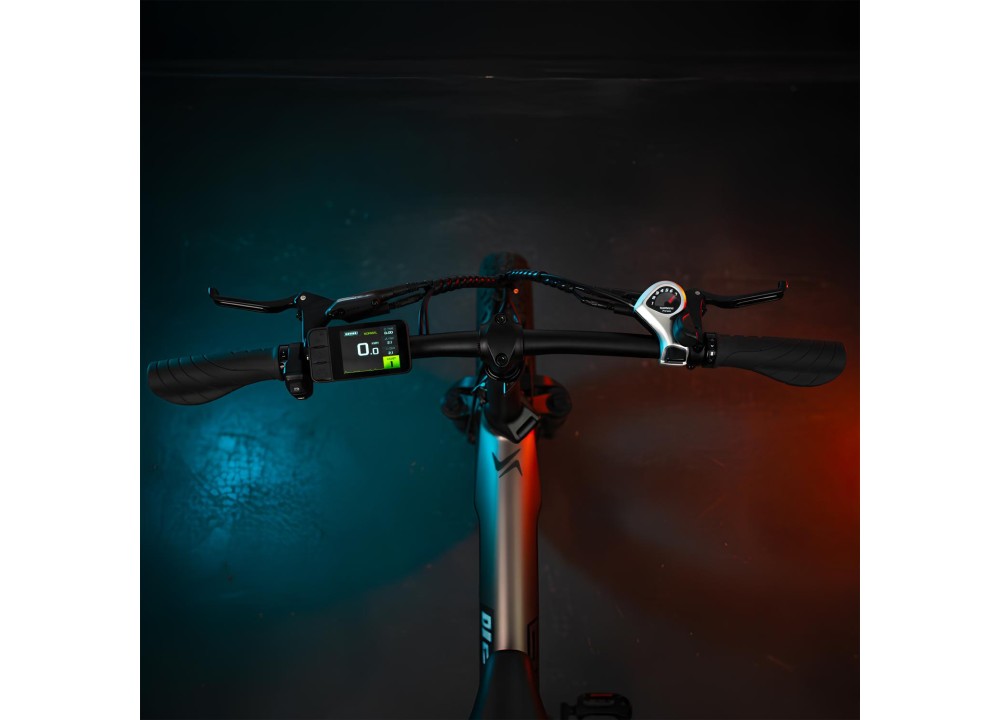 BICICLETA ELÉCTRICA SMARTGYRO EBIKE RHINO