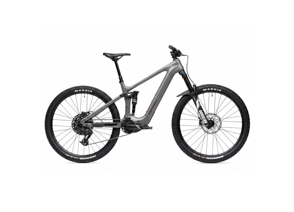 Bicicleta Steppenwolf Tundra 9.0 con motor Avinox