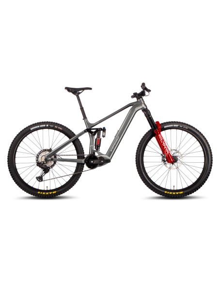 Bicicleta Steppenwolf Tundra 10.0 con motor Avinox