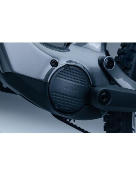 Bicicleta Steppenwolf Tundra 10.0 con motor Avinox