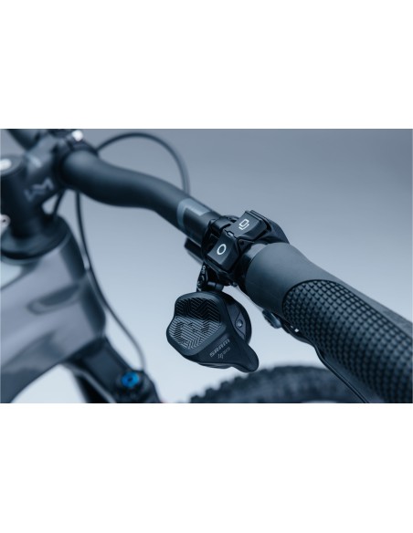 Bicicleta Steppenwolf Tundra 10.0 con motor Avinox