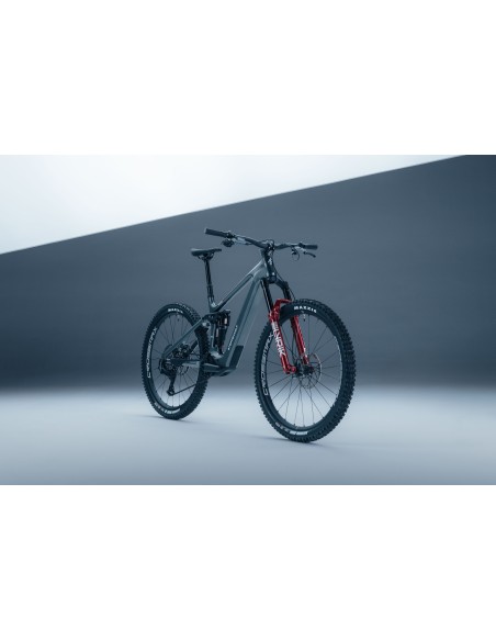 Bicicleta Steppenwolf Tundra 10.0 con motor Avinox