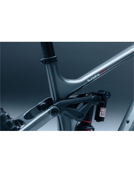 Bicicleta Steppenwolf Tundra 10.0 con motor Avinox