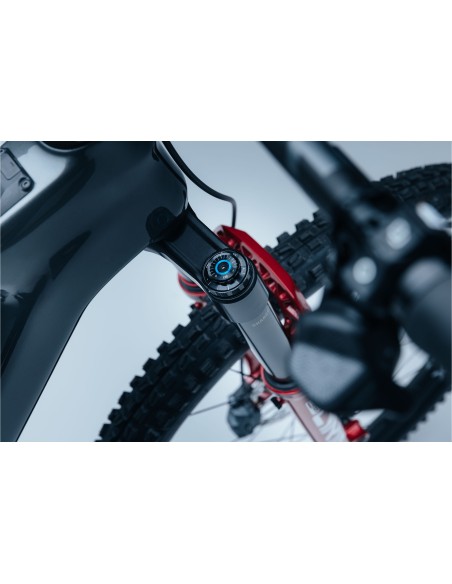 Bicicleta Steppenwolf Tundra 10.0 con motor Avinox