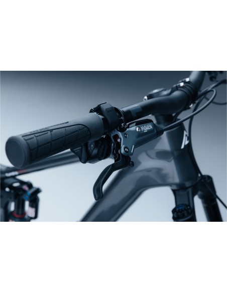 Bicicleta Steppenwolf Tundra 10.0 con motor Avinox M2S