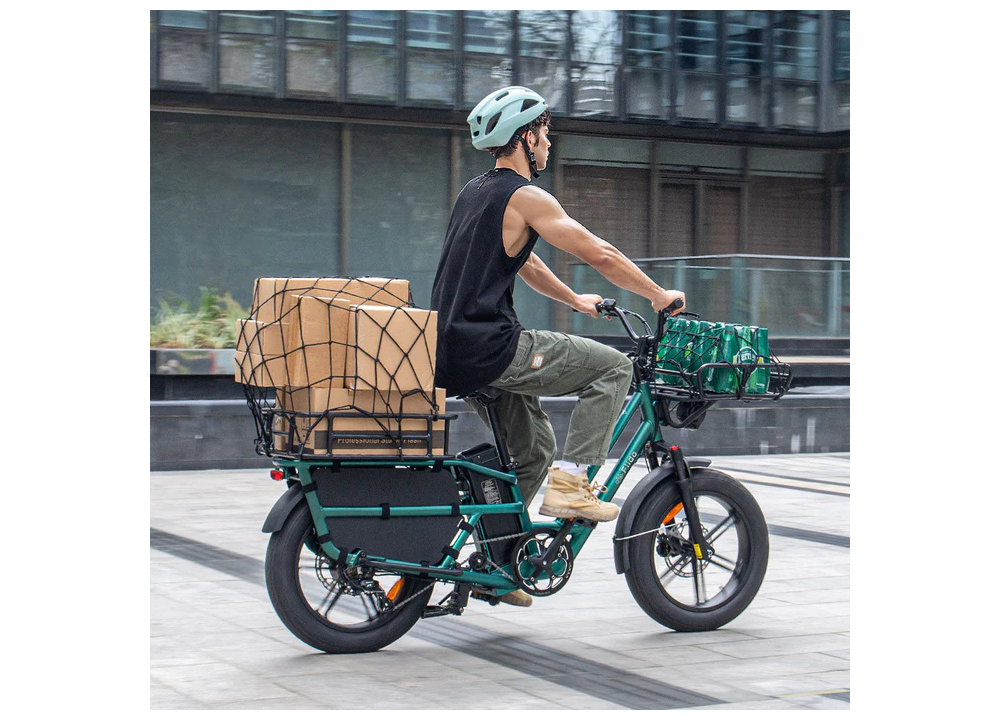 Fiido T2 Longtail Cargo E-bike | Bicicleta...