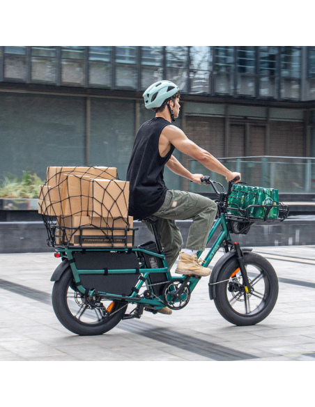 Fiido T2 Longtail Cargo E-bike | Bicicleta Eléctrica de Carga Versátil y Familiar
