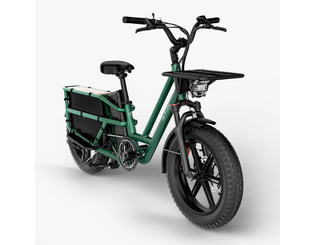 Fiido T2 Longtail Cargo E-bike | Bicicleta Eléctrica de... 2