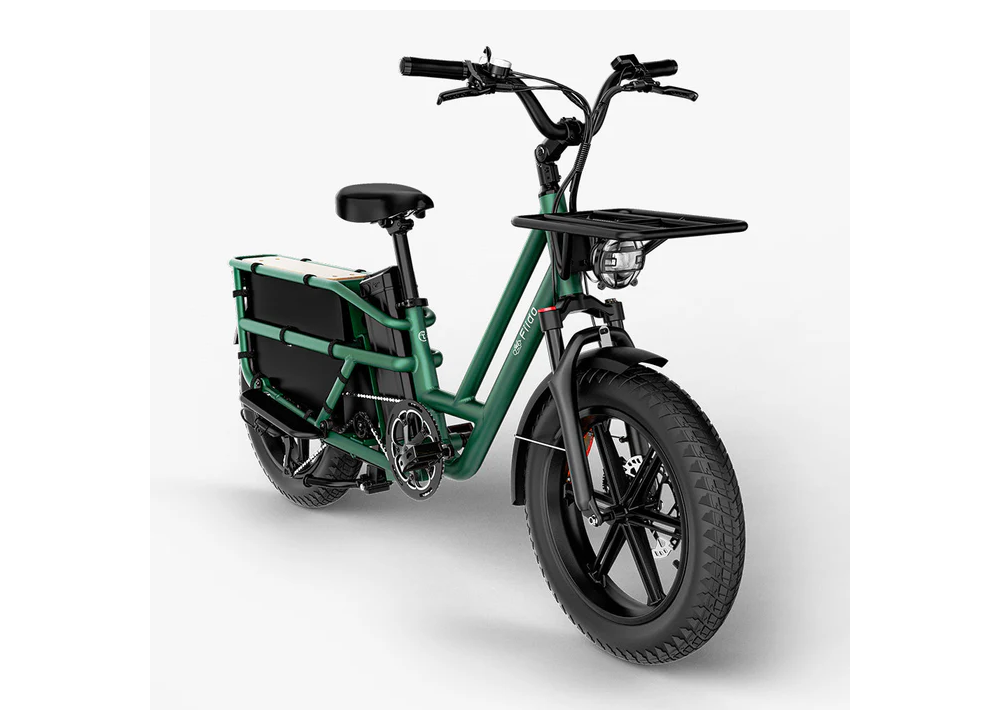 Fiido T2 Longtail Cargo E-bike | Bicicleta...