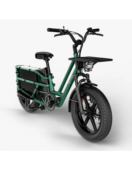 Fiido T2 Longtail Cargo E-bike | Bicicleta Eléctrica de Carga Versátil y Familiar