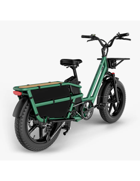 Fiido T2 Longtail Cargo E-bike | Bicicleta Eléctrica de Carga Versátil y Familiar