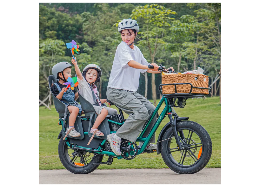 Fiido T2 Longtail Cargo E-bike | Bicicleta...