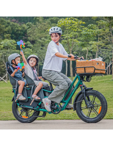 Fiido T2 Longtail Cargo E-bike | Bicicleta Eléctrica de Carga Versátil y Familiar