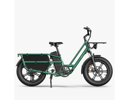 Fiido T2 Longtail Cargo E-bike | Bicicleta Eléctrica de...