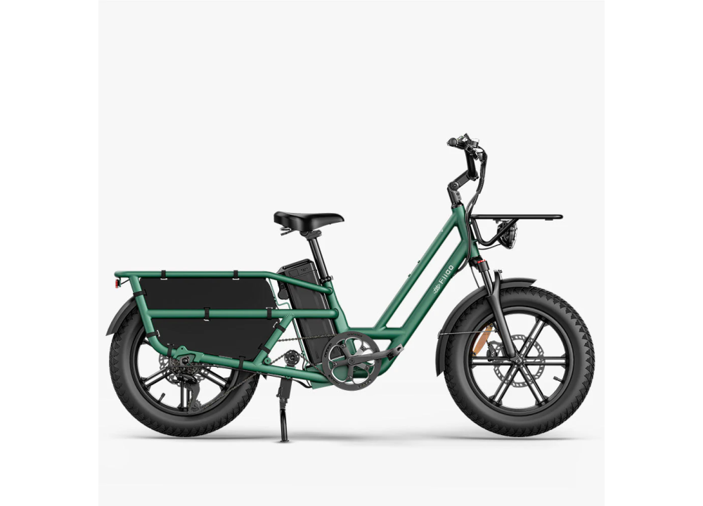 Fiido T2 Longtail Cargo E-bike | Bicicleta...