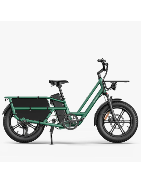Fiido T2 Longtail Cargo E-bike | Bicicleta Eléctrica de Carga Versátil y Familiar