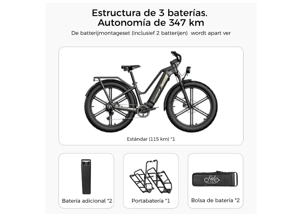 Fiido Titan Robust Cargo Electric Bike |...