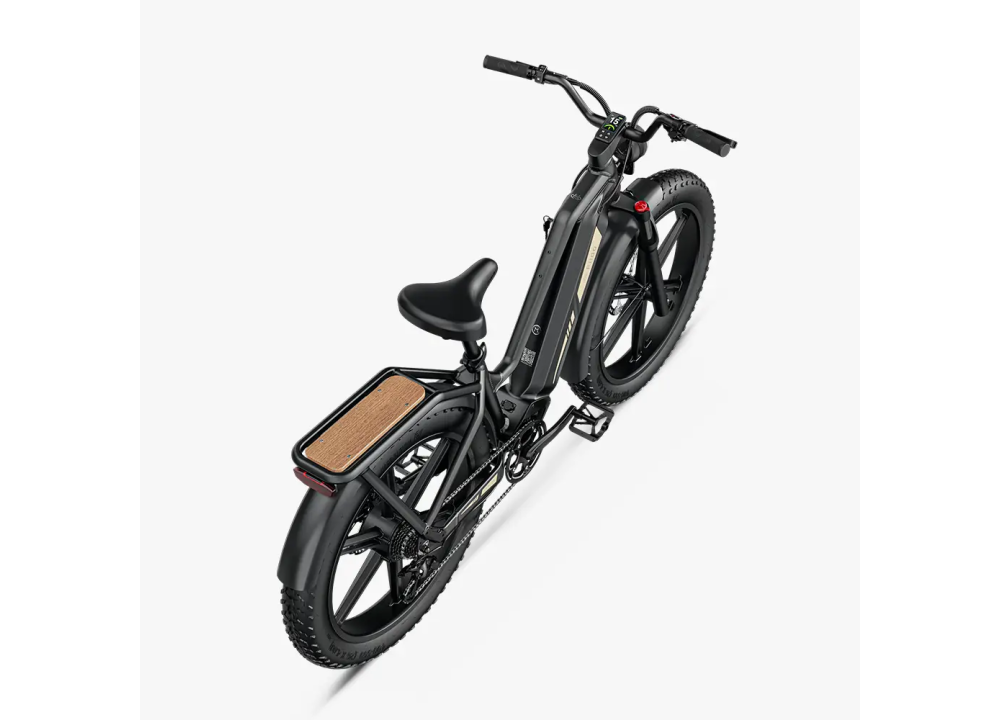 Fiido Titan Robust Cargo Electric Bike |...