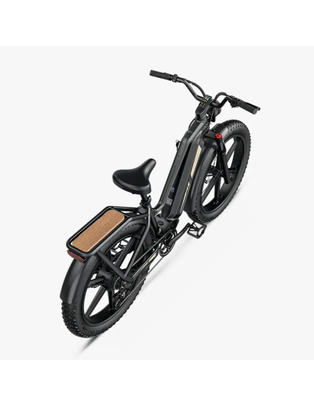 Fiido Titan Robust Cargo Electric Bike | Bicicleta Eléctrica Fat Tire de Gran Autonomía